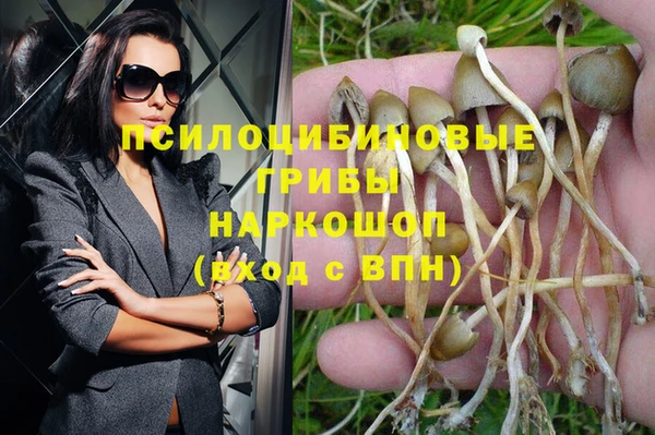 марки nbome Гусь-Хрустальный